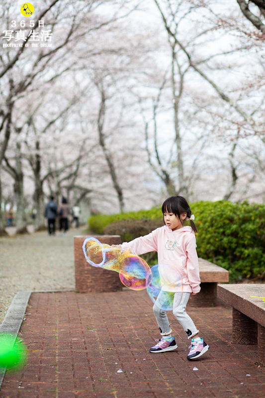 京都府亀岡市で家族写真・桜ロケーションの出張撮影